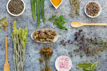 צמחי מרפא בצפון: חוכמת הטבע בשירות הבריאות שלכם