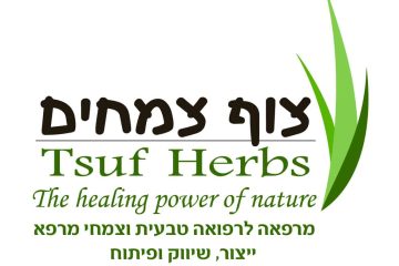 אנמיה, חוסר ברזל ואיזון פנימי